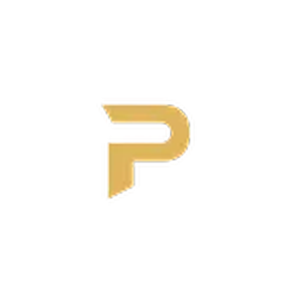 paradsie gen logo